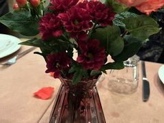 -Mammamia意大利餐厅(阳春巷店)