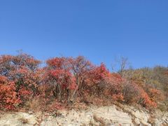 -鬼笑石后山停车场