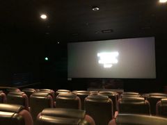 -太平洋影城(王府井店)