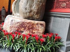 -龙华素斋(龙华路店)