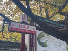 -岳麓山风景名胜区
