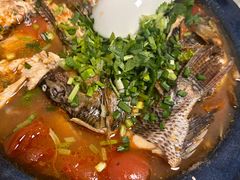 -风鑫铃罗非鱼(道沟店)