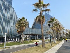 -金沙湖公园