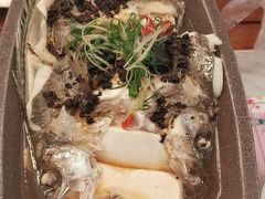 -翠华餐厅(德基广场店)