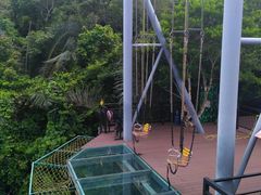 -呀诺达热带雨林