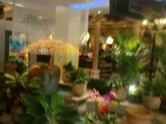 -润园四季椰子鸡火锅(海上世界店)