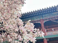 -潭柘寺景区
