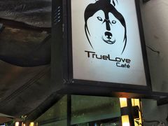 -TrueLove @ Neverland (Husky Cafe)
