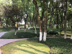 -重庆市江北嘴中央商务区中央公园