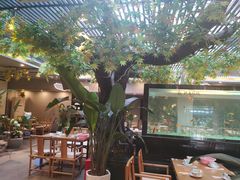 -阳光院坝小龙虾(红牌楼店)
