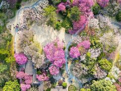 -杭州植物园