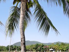 -亚龙湾国际玫瑰谷