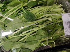 -大班家政月嫂育儿嫂(总部店)
