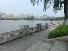 -眉山湿地公园(东坡区)