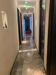 -玛莲朵·海菲秀冰珀科