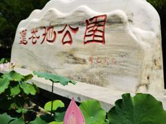 -莲花池公园