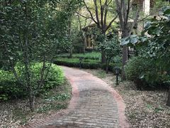 -天鹅湖生态旅游风景区