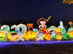 -洋湖国家湿地公园