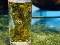 -齐海鱼圣深海石斑鱼火锅店(极地海洋世界店)