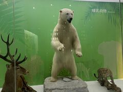 -国家自然博物馆