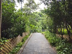 -九龙公园