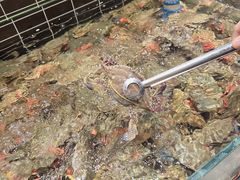 -海玥荟海鲜姿造自助餐厅(欧罗巴广场店)