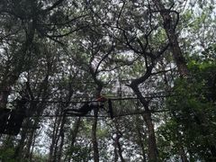 -芦仙山景区-飞越丛林探险乐园