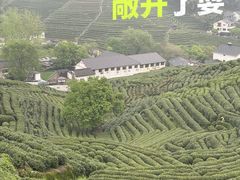 -十里琅珰