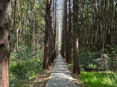 -同里国家湿地公园