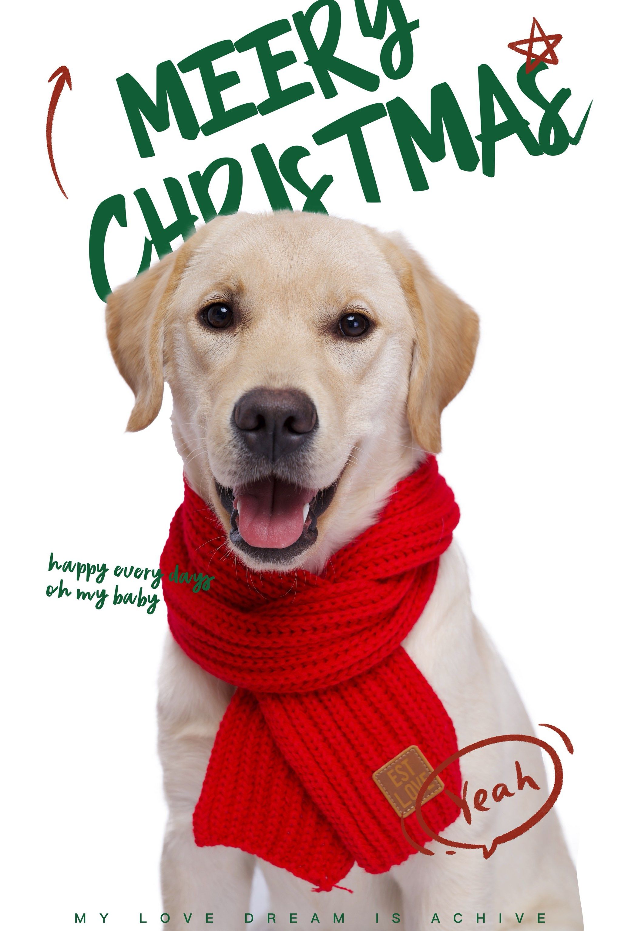 宠物写真| 你永远是我的宝贝0807