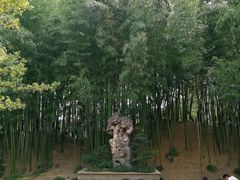 -水绘园