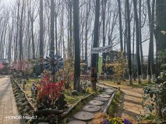 -林间山庄