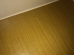 -青岛富力艾美酒店