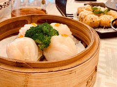 -新君悦国际酒店