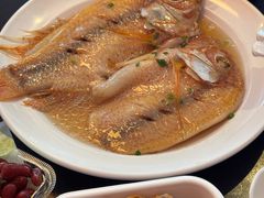 彩红鲷-阿那亚第三食堂 Cafeteria 3