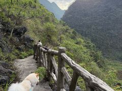 -靖西鹅泉风景区
