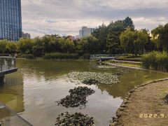 -新虹桥中心花园