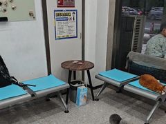 -四月宠物医院·猫专科·心脏专科·内科(转塘店)
