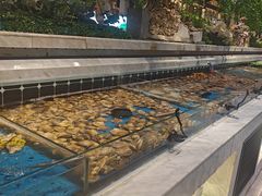 -川骄海鲜自助(河东店)