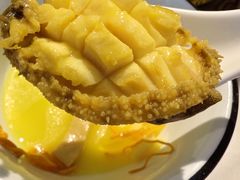 -1937青岛老味道·海肠捞饭·青岛菜(大鲍岛栈桥店)