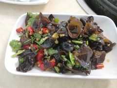 -墨脱石锅椰子鸡•香草鸭•东山羊(大东海店)