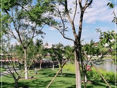 -西海子公园