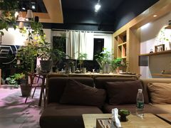 -柴务处·柴犬主题狗咖