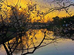 -西溪国家湿地公园