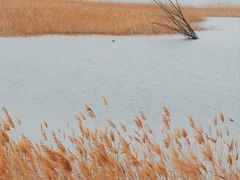 -野鸭湖国家湿地公园