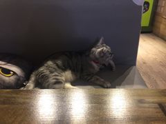 -小时光咖啡馆(开森度假森林店)