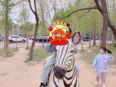 -秦皇岛野生动物园