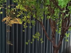 -映像威海·威海宴(威高广场店)