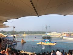 -秦皇岛乐岛海洋王国