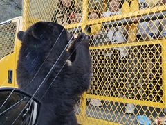 -乐和乐都主题乐园